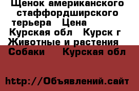 Щенок американского стаффордширского терьера › Цена ­ 1 500 - Курская обл., Курск г. Животные и растения » Собаки   . Курская обл.